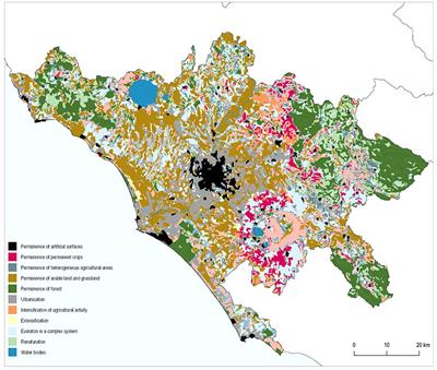 Food Policy Processes in the City of Rome: A Perspective on Policy Integration and Governance Innovation